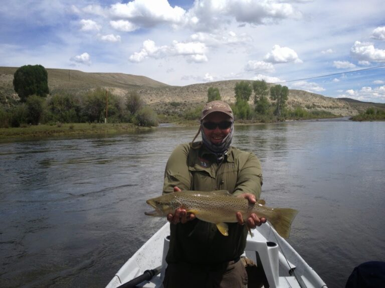 23 inch brown trout from the Green River