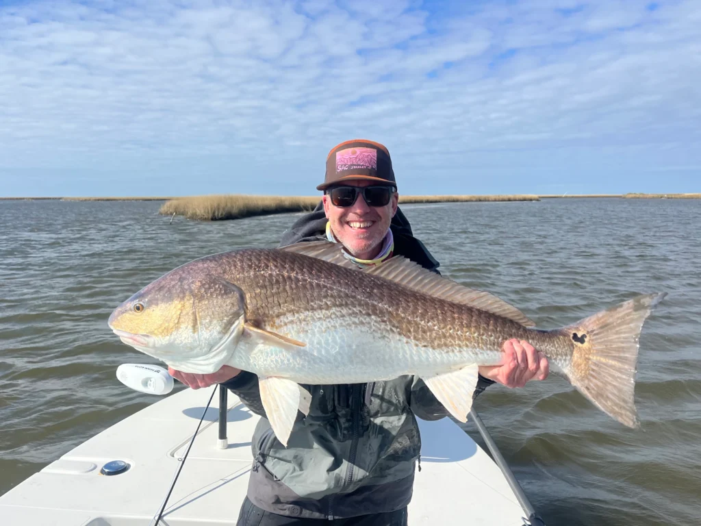 40 inch Redfish Cocodrie, Louisiana