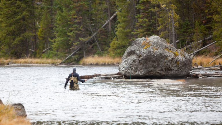 Fly Fishing 101: Essential Tips and Tricks for Beginners