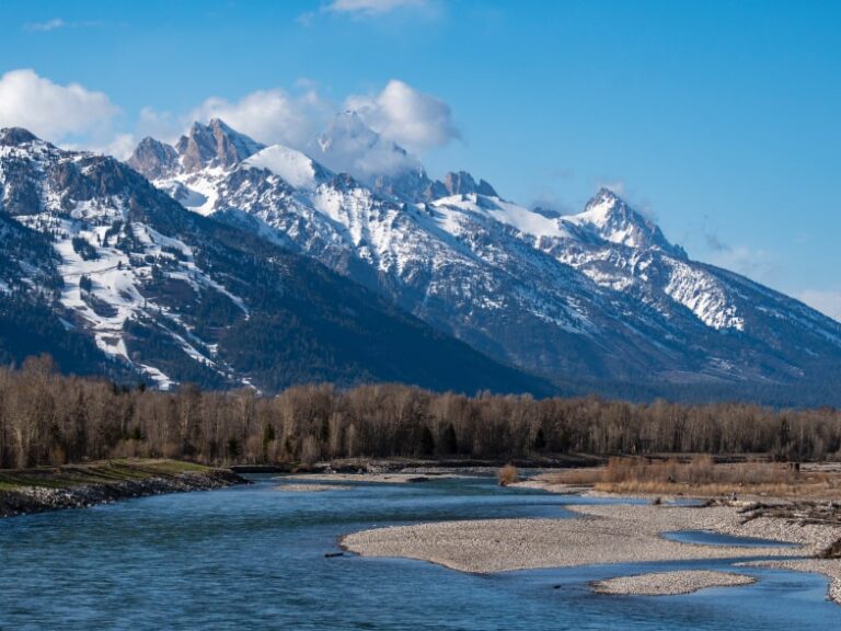 Top 5 Fly Fishing Spots in Jackson Hole to Walk & Wade