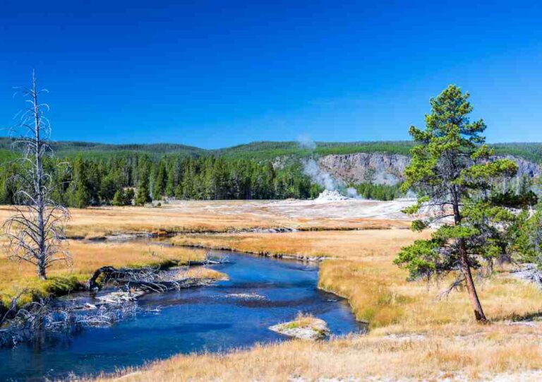 fly fishing firehole river in yellowstone national park