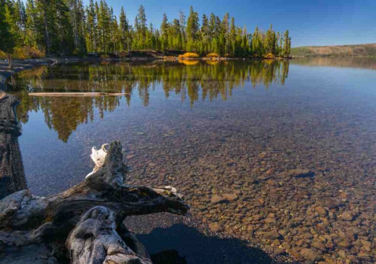 lewis lake yellowstone national park