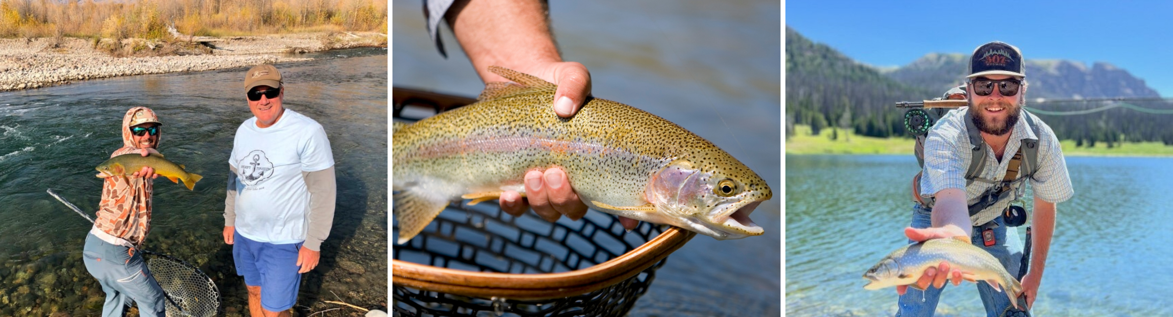 best fly fishing spots in jackson for walk and wade fishing